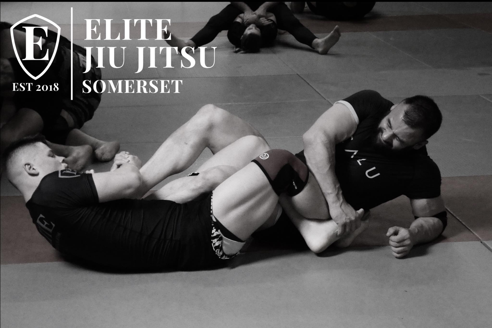 Elite Jiu Jitsu Somerset Training